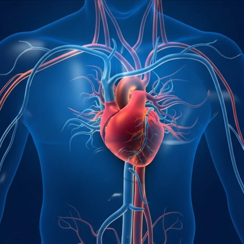 Heart health improvement in Meerut through natural naturopathy therapies and lifestyle guidance