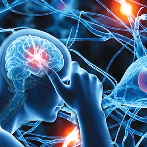 Neurological disease support in Meerut using naturopathy based natural treatment methods