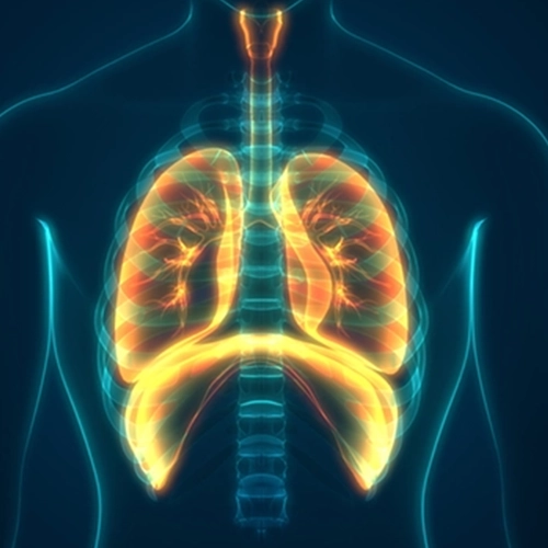 Respiratory Conditions Treated with Naturopathy Meerut